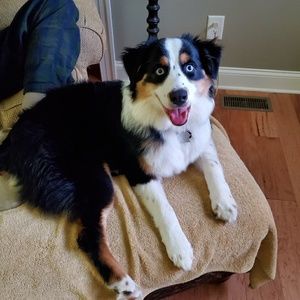 Meet your Posher, Liane